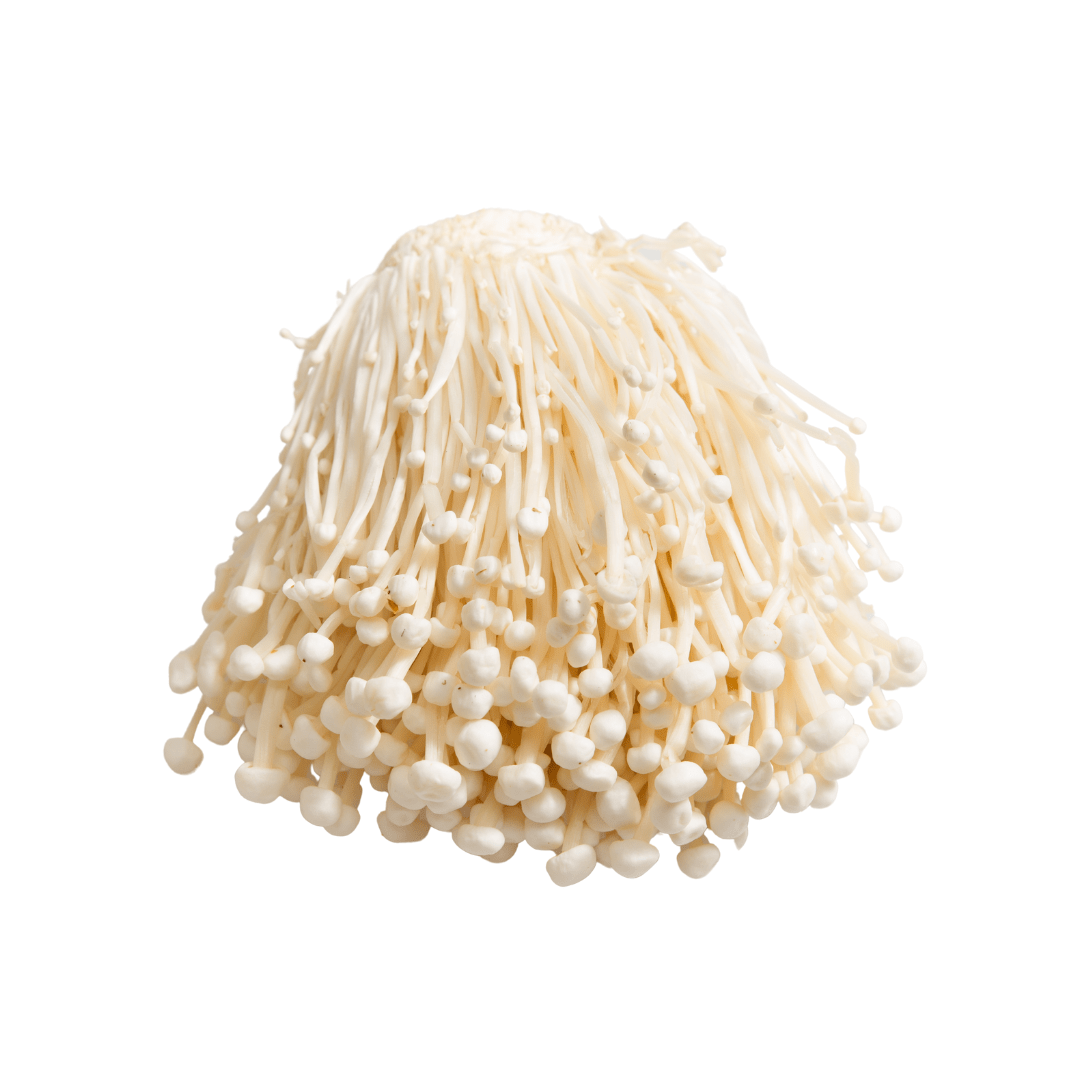 Enoki