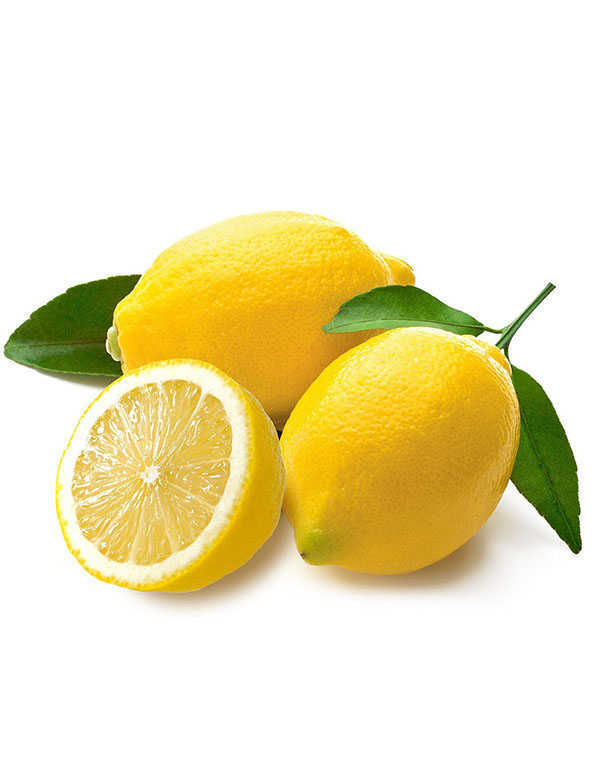 Lemon Yellow WHOLESALE