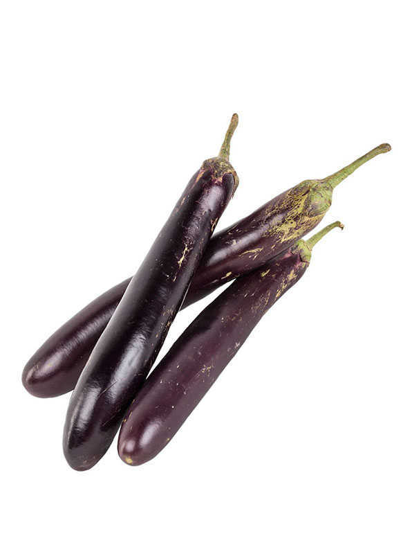 Eggplant WHOLESALE
