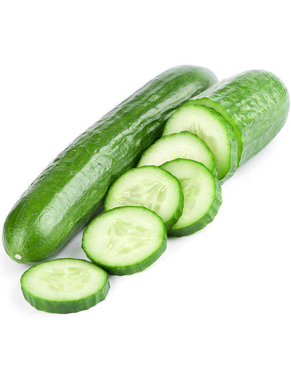 Cucumber WHOLESALE