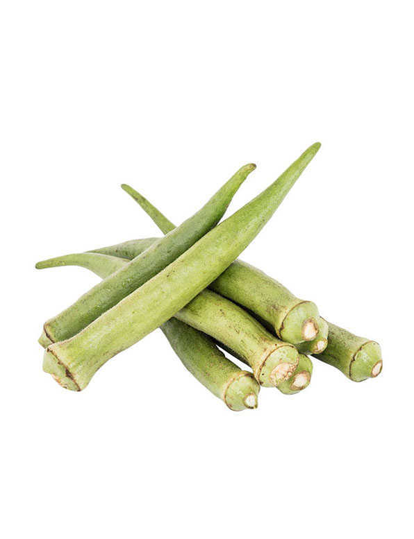 Okra WHOLESALE