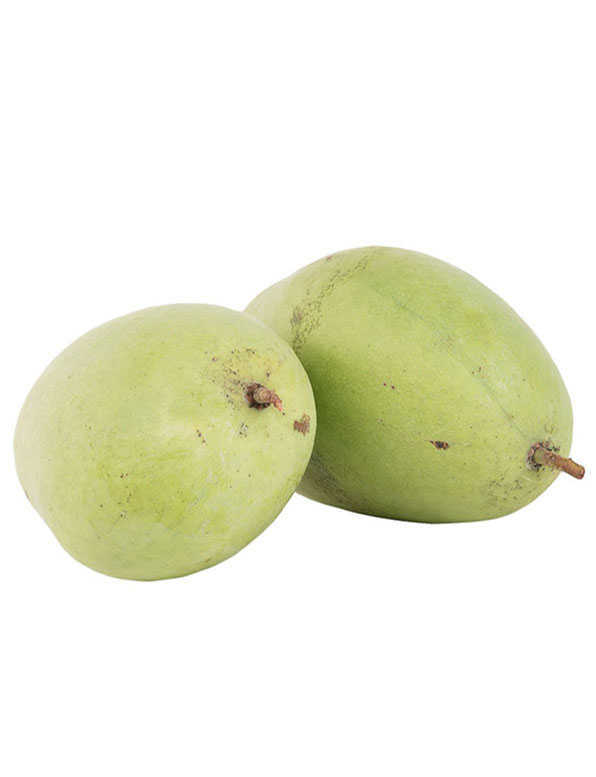 Mango Green Wholesale