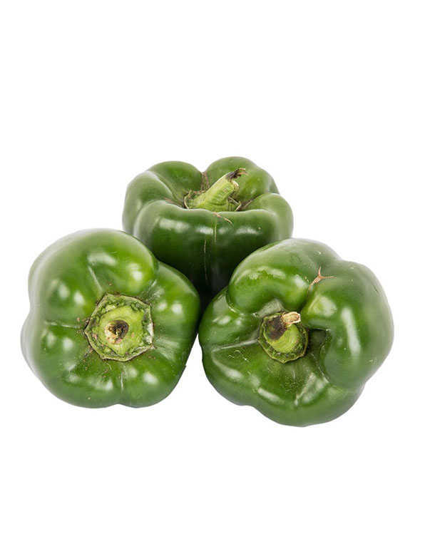 Bell Pepper Green WHOLESALE