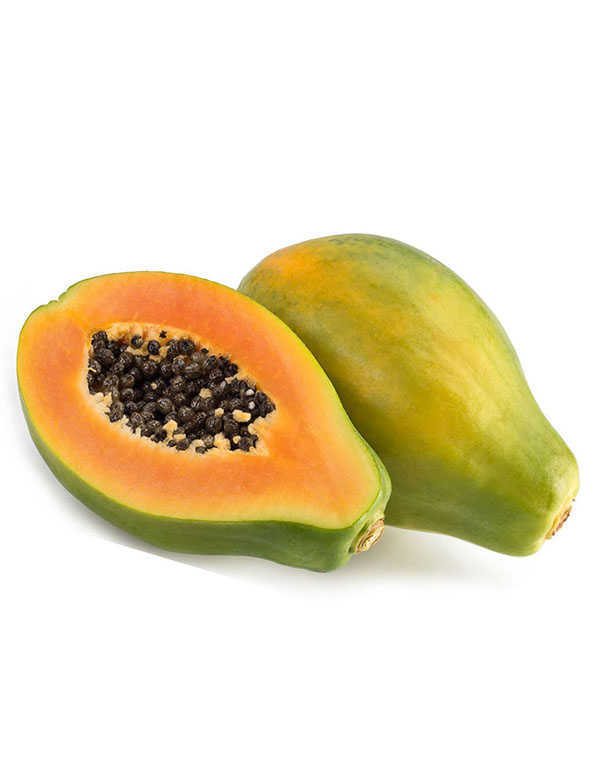 Papaya Solo WHOLESALE