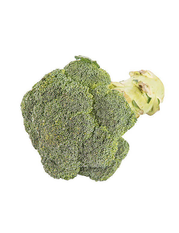 Broccoli WHOLESALE