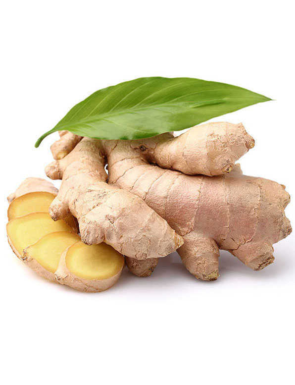 Ginger WHOLESALE