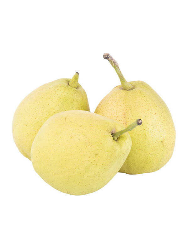 Fragrant Pear WHOLESALE