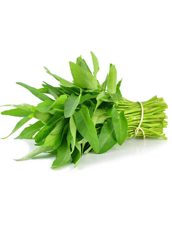 Kangkong