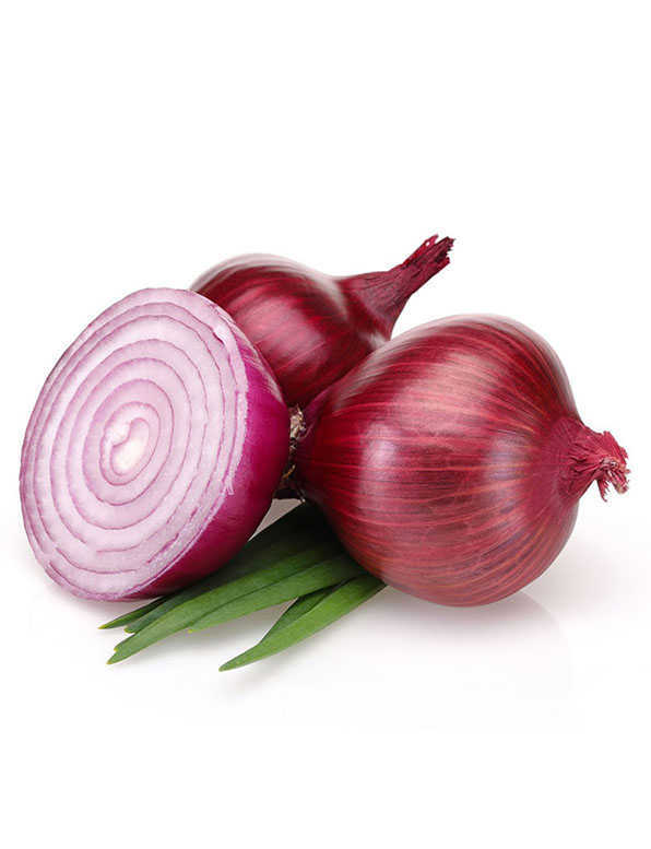 Onion Red