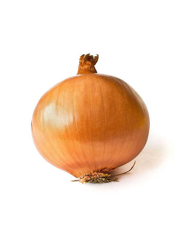 Onion White