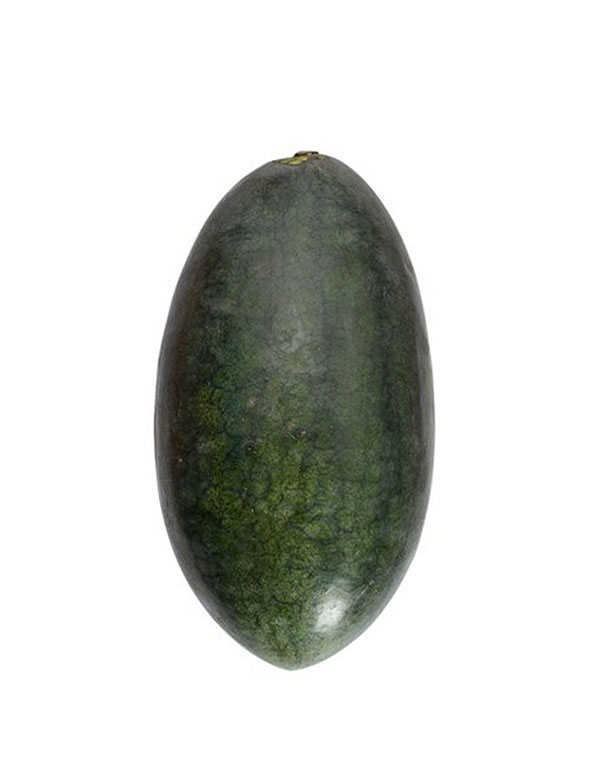Watermelon Black Beauty