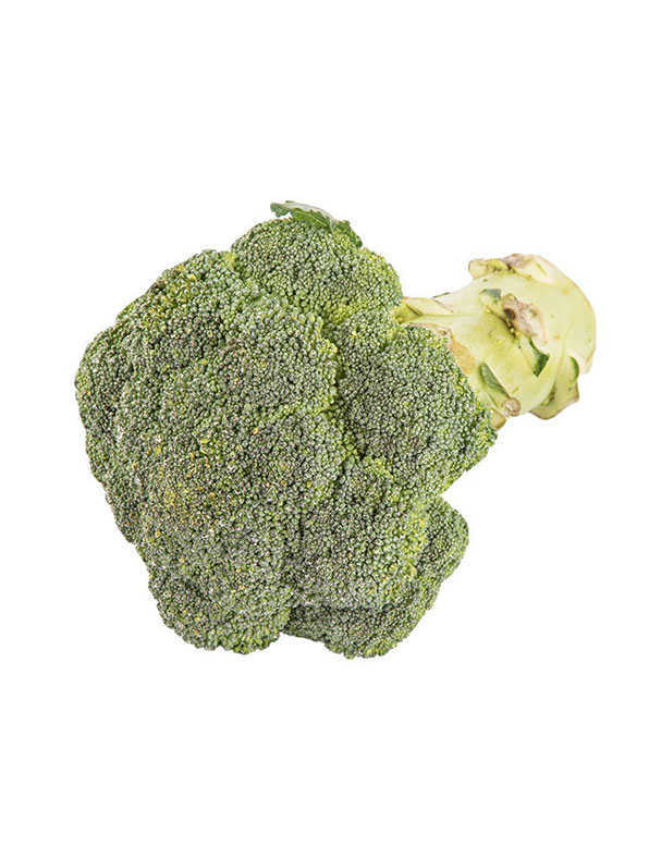 Broccoli