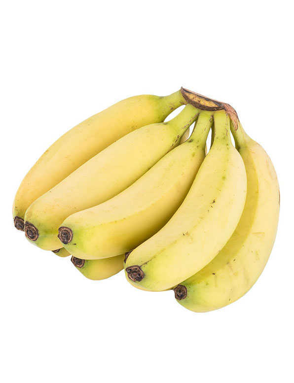 Banana Cavendish
