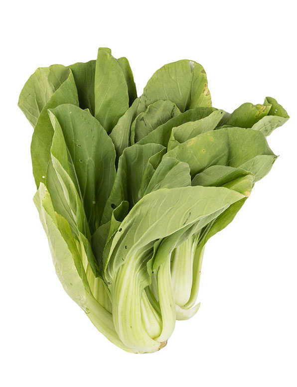 Pechay Taiwan (Bokchoy)