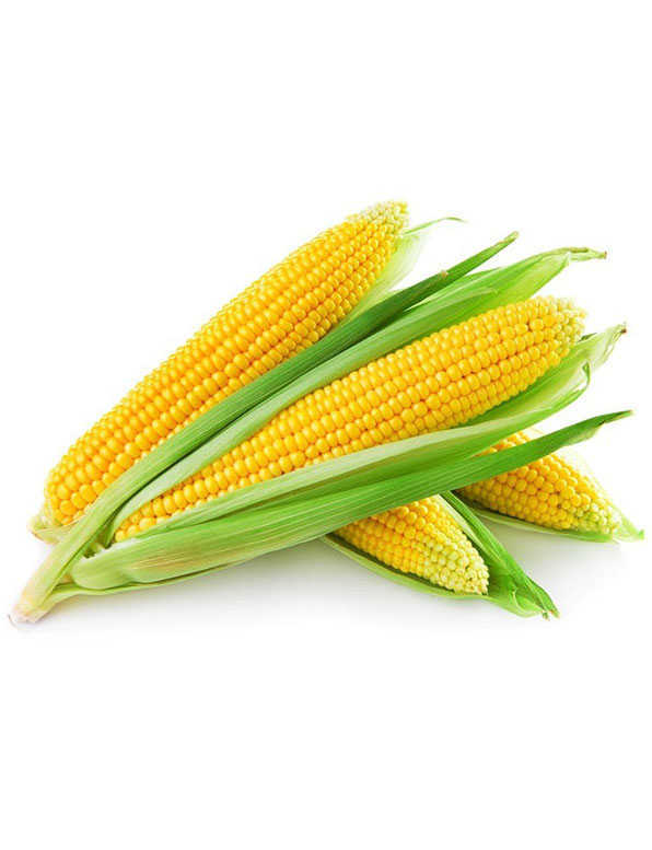 Yellow Corn