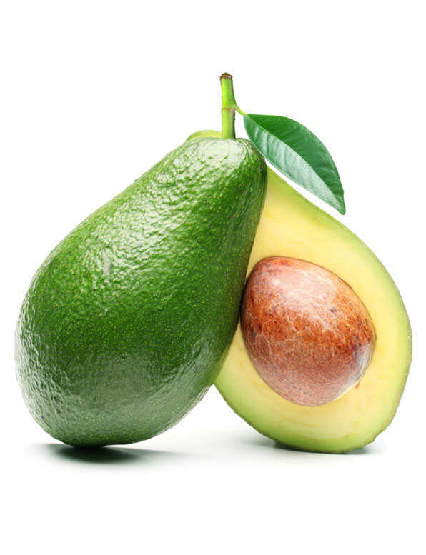Avocado Hass