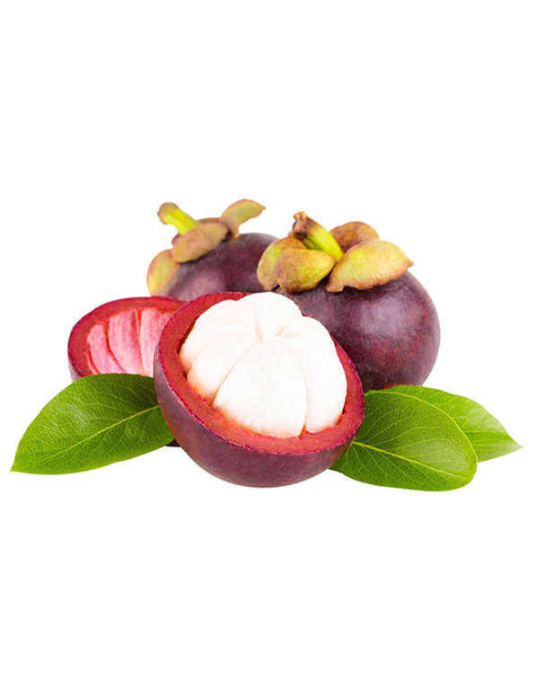 Mangosteen