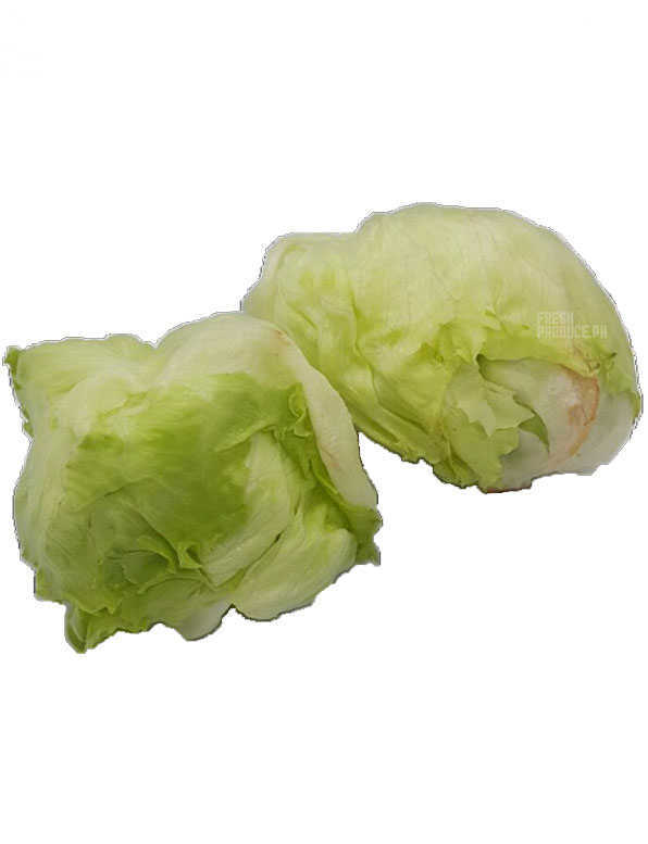 Lettuce Iceberg